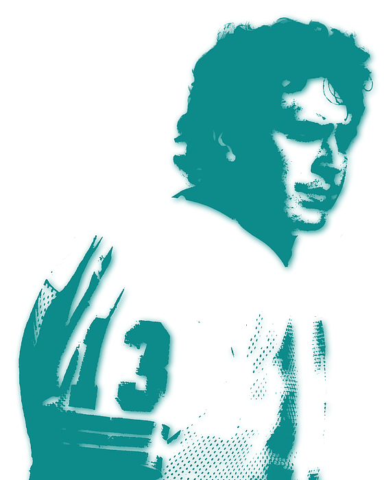 Dan Marino Miami Dolphins Jersey Number Art By Joe Hamilton, 46% OFF