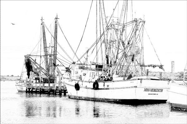 Pier Photographs