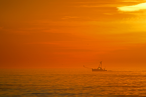 Dianne Cowen Cape Cod Photography - Nauset Light Beach - Fog On The Ocean