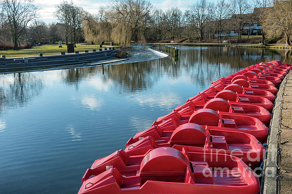 Pedal Red Punts In Odense River Denmark Greeting Card For Sale By Frank Bach