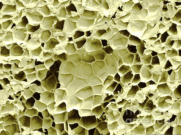 Popcorn Structure Popcorn Microstructure #1 Ornament by Scimat - Science Source Prints