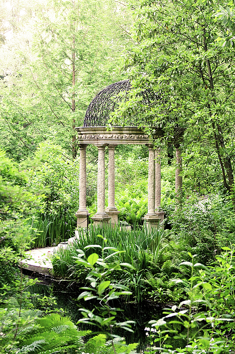 Trina Ansel - Serenity Garden