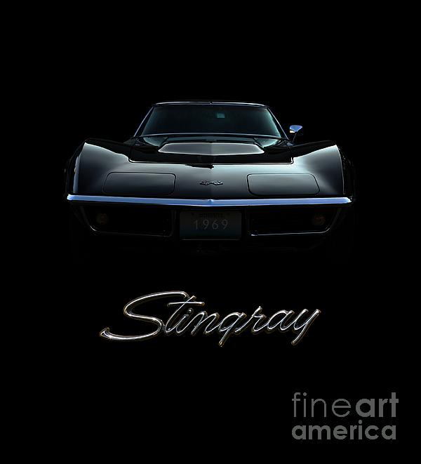 Stingray Photograph