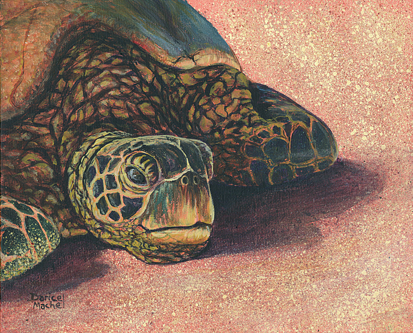 Hawaiian Sea Turtle 3 Painting by Darice Machel McGuire - Pixels