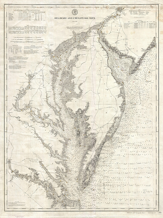 CartographyAssociates - Vintage Map of The Chesapeake Bay 