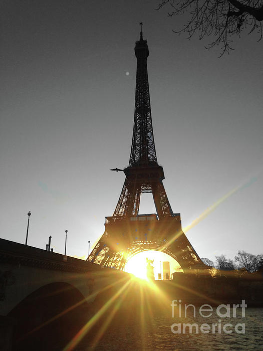 Eiffel tower hand discount towels