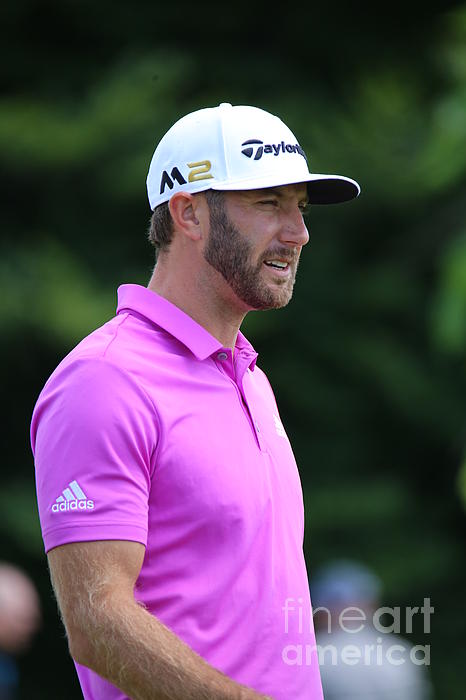 dustin johnson pink adidas shirt