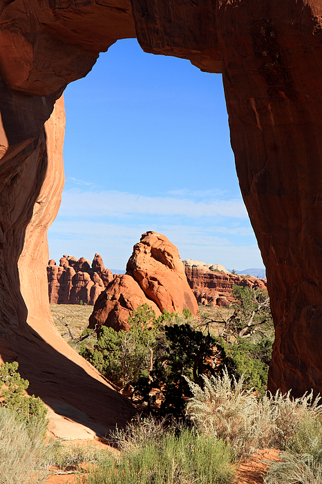 Pine Tree Arch In Arches National Park Photograph