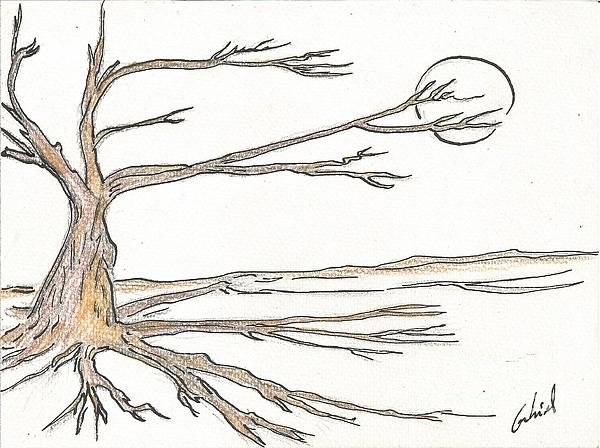 Tree Drawings