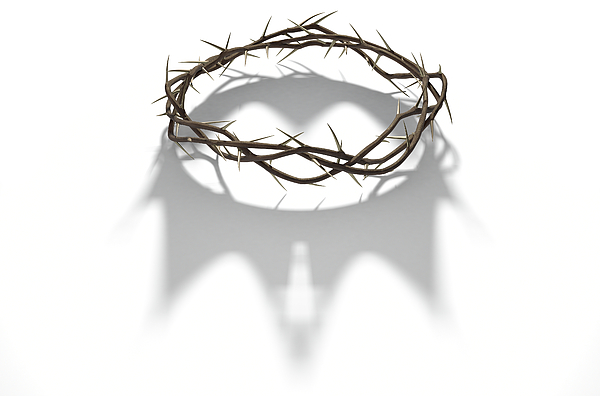 Crown Of Thorns Digital Art by Allan Swart - Pixels