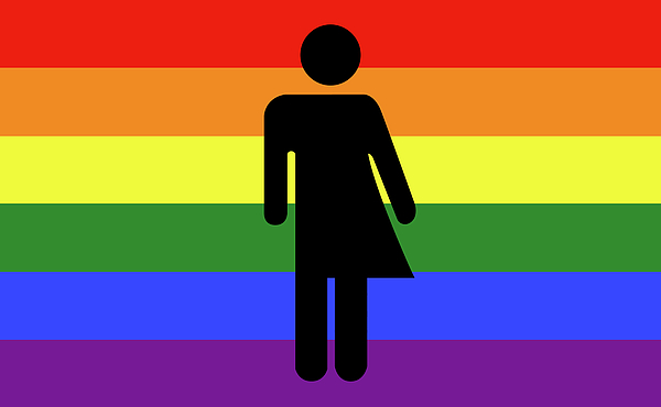 Bisexual Tote Bag LGBT Bag Bisexual Pride Bisexual Flag 