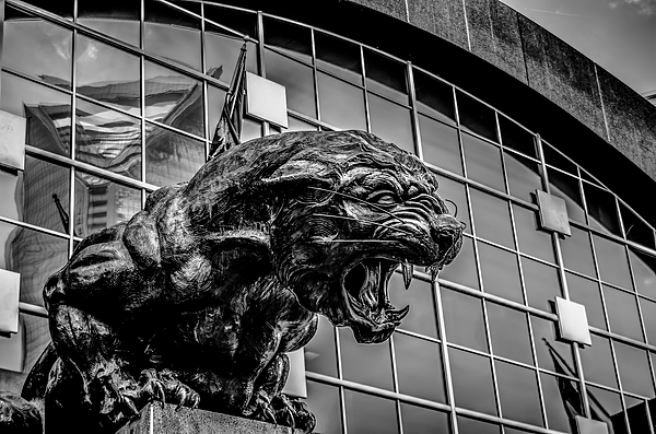 Black panther statue. Carolina panthers nfl football team mascot