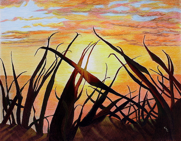 Kathy Crockett - Dune Grasses at Sunrise