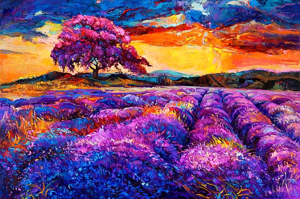 Boyan Dimitrov - Lavender fields 