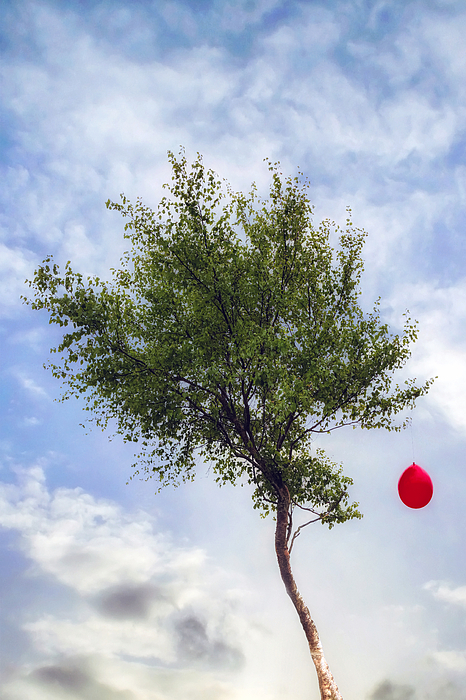 Tree Art