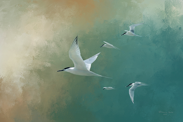 Marvin Spates - A Flight Of Terns