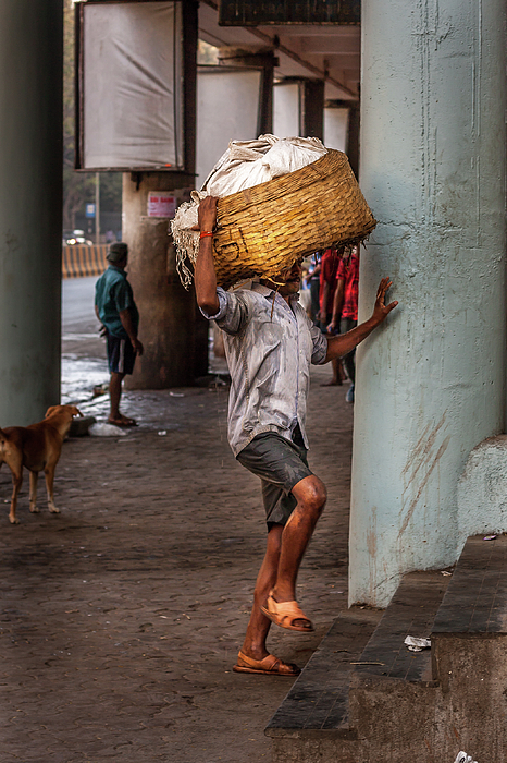 Indian fisherman carrying freshly catch fish at Malvan beach at Photograph  by Snehal Pailkar - Pixels