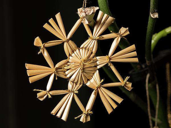 A straw star hanging on a christmas tree Photograph by Stefan Rotter -  Pixels