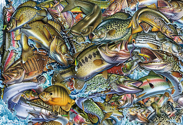Action Fish Collage Tapestry by JQ Licensing - Fine Art America