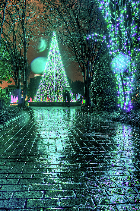 Christmas Photographs