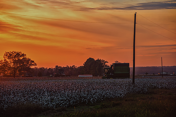 Sunset Photographs