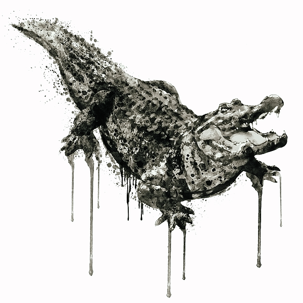 Marian Voicu - Alligator Black and White