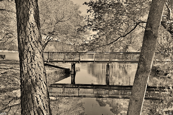 Lisa Wooten - Amazing Reflections At Sesquicentennial State Park Black And White