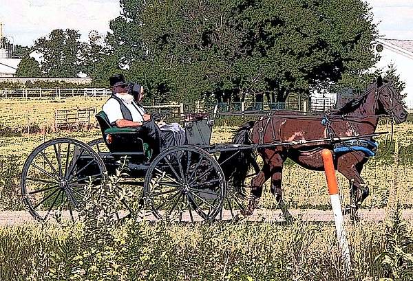 David Bearden - Amish Elders