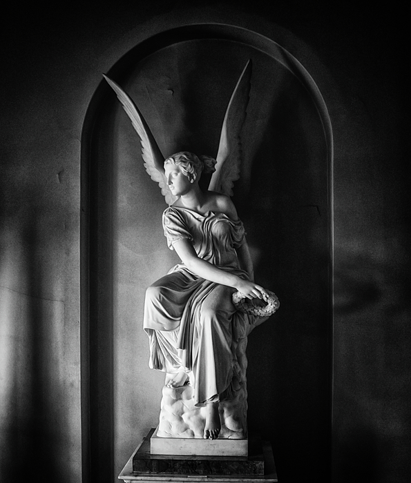 angel-statue-martin-newman.jpg