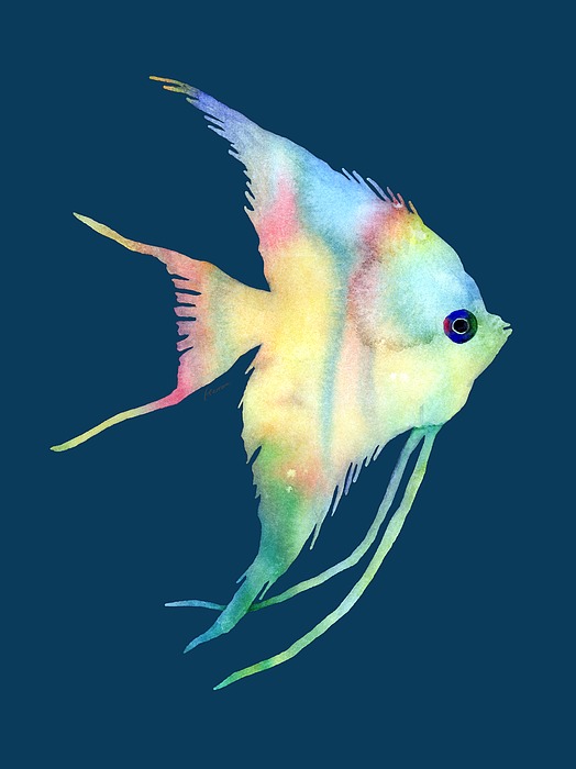 Angelfish I - Solid Background Painting