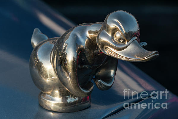 Angry Duck Ornament by Teresa Wilson - Pixels