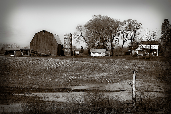 Antique Michigan Farm Photograph