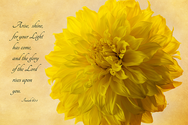 Arise, Shine {Card} Arise, Shine {Card}