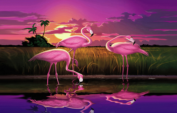 Flamingoes Flamingos Tropical Sunset Landscape Florida Everglades Large ...