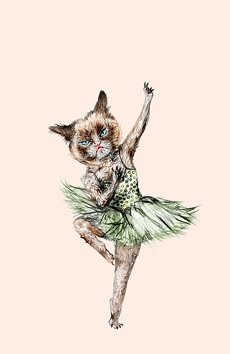 Siamese Ballerina Cat iPhone X Case for by Notsniw Art