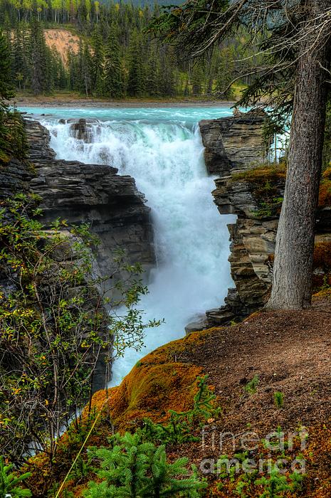 Wayne Moran - Athabasca Falls Jasper National Park