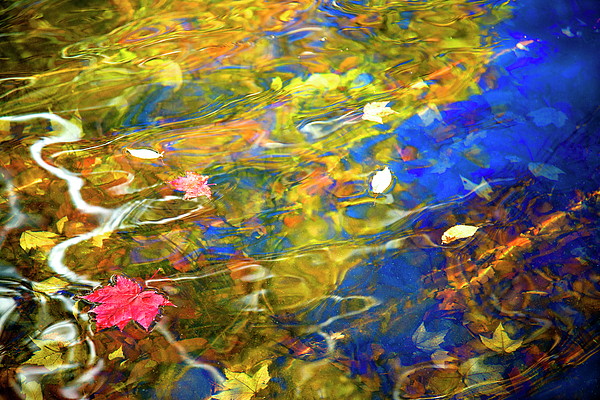 Fall Art