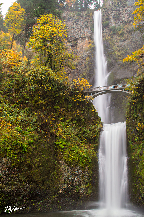 Waterfall Art