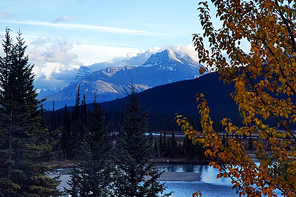 Alberta Art