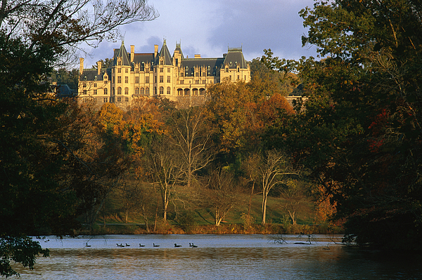 Autumn View Of The Biltmore Coffee Mug for Sale by Melissa Farlow