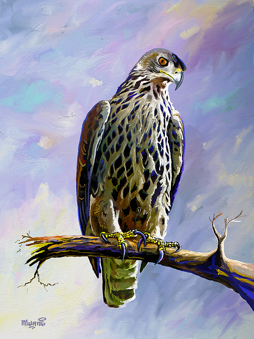 Ayress Hawk Eagle Painting