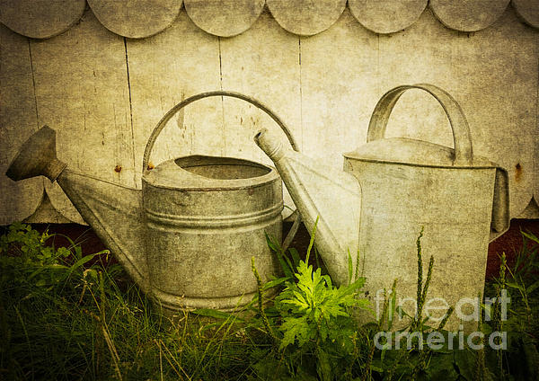 Nostalgic Photographs