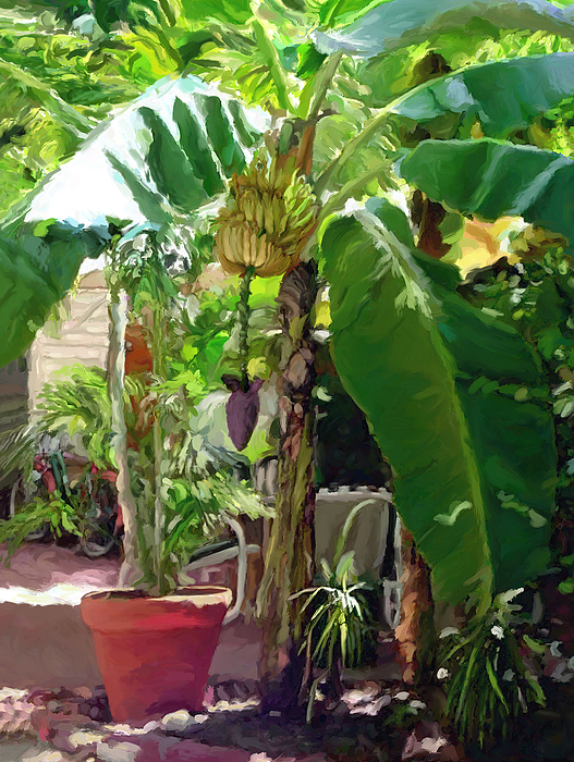 Banana Tree Painting