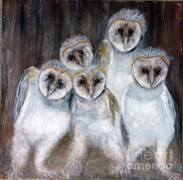 Lyric Lucas - Barn Owl Chicks