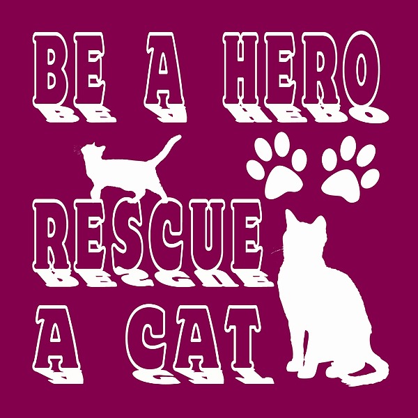 Be A Hero Rescue A Cat Digital Art