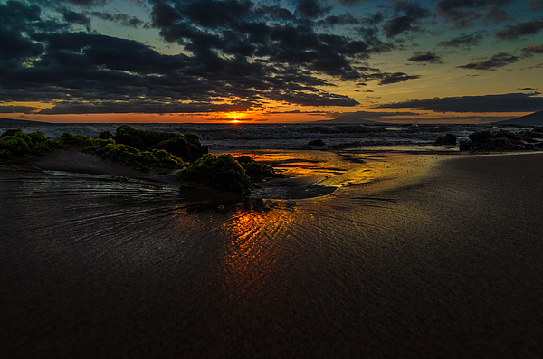 Sunset Art