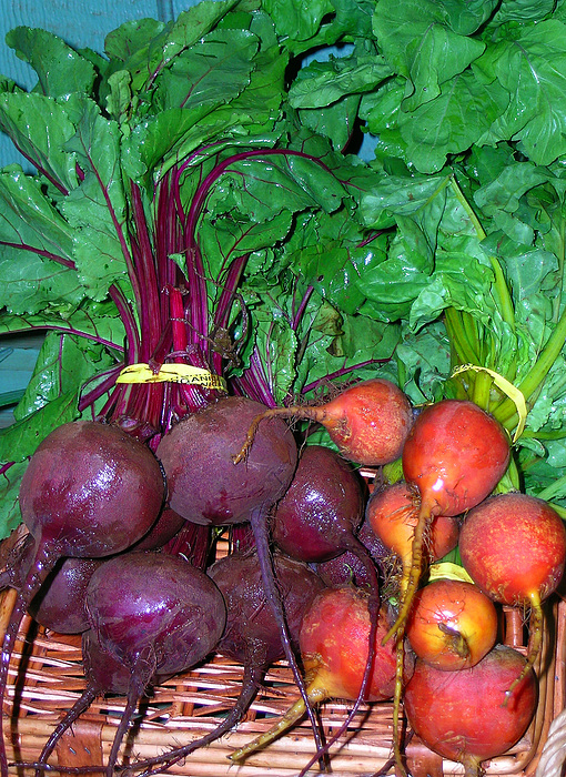 Organic Art