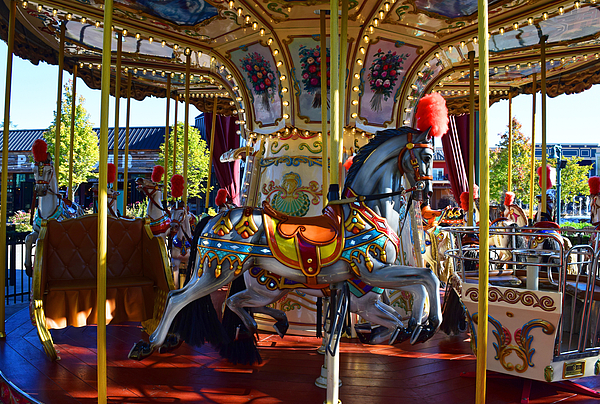 Beautiful Carousel by Lisa Cathryn Tyson