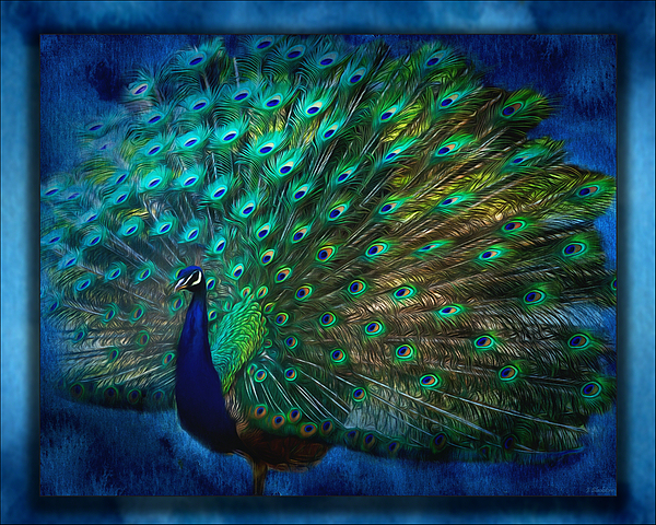 Being Yourself - Peacock Art Jigsaw Puzzle by Jordan Blackstone - Pixels