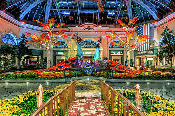 https://images.fineartamerica.com/images/artworkimages/medium/1/bellagio-conservatory-fall-peacock-display-wide-2017-aloha-art.jpg